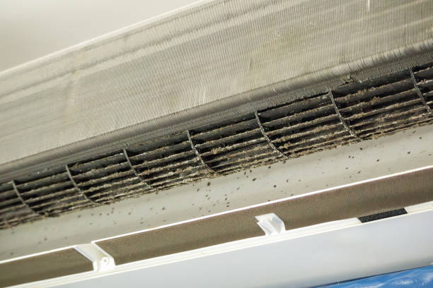 Best HVAC System Cleaning  in Franklin, NH
